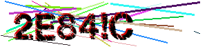 Human verification code (Captcha)